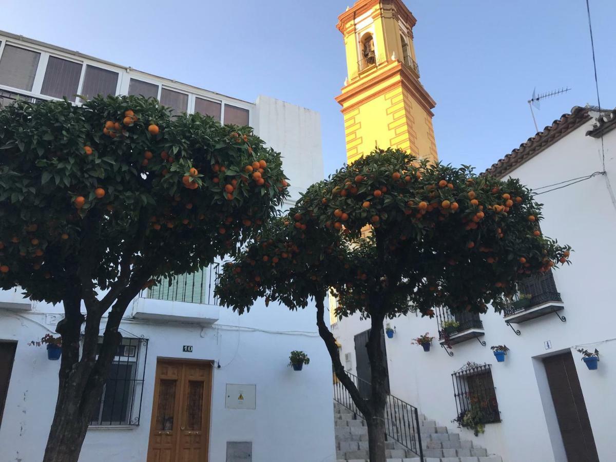 Casa Sirena Villa Estepona Eksteriør billede